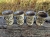 czarka-rustykalne-drzewo-rekodzielo-150ml-braz-metaliczny-bez-ceramika-artystyczna-handmade-4.jpg
