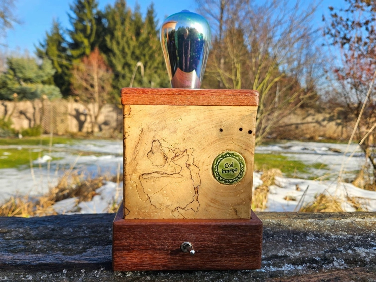 lampa-lesny-swietlik-drewno-camaro-wierzba-rekodzielo-drewniana-lampa-handmade-4.jpg
