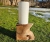 lampa-orzechowa-finezja-drewno-orzech-rekodzielo-drewniana-lampa-handmade-12.jpg