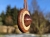 zawieszka-naszyjnik-tygrysi-blask-tygrysie-oko-drewno-palisander-dab-rekodzielo-bizuteria-drewniana-handmade-4.jpg